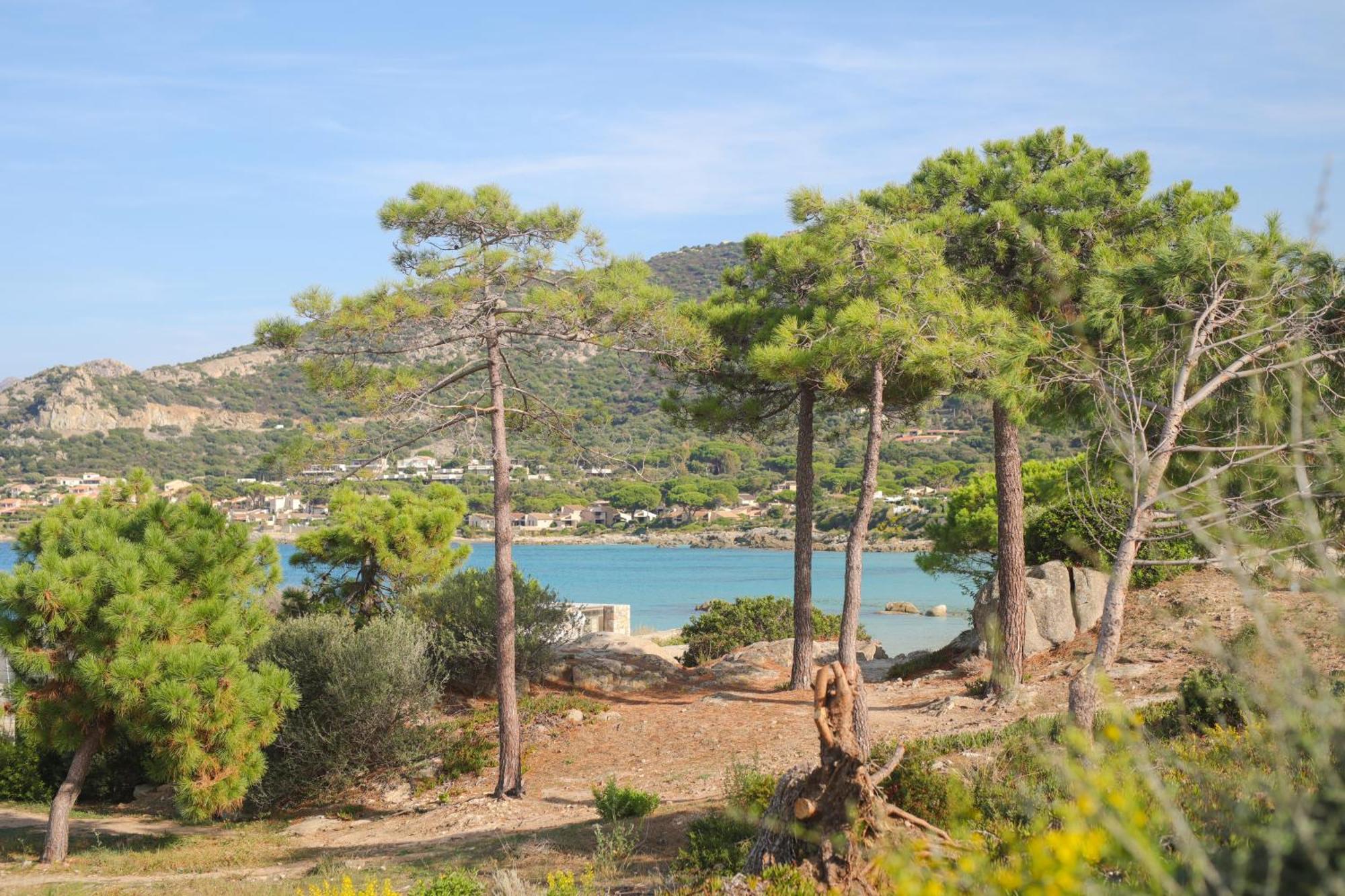 Appartement La Balagne , Bord De Mer, Grande Terrasse, Sant'Ambroggio Лумио Экстерьер фото
